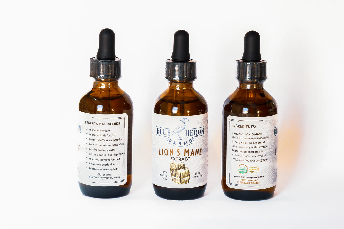 Lion’s Mane Tincture