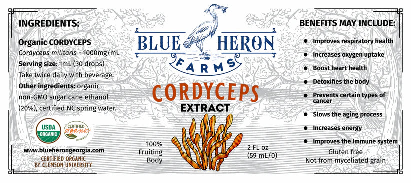 Cordyceps Tincture