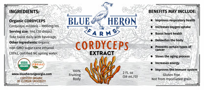 Cordyceps Tincture