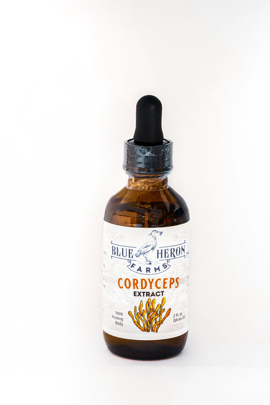 Cordyceps Tincture