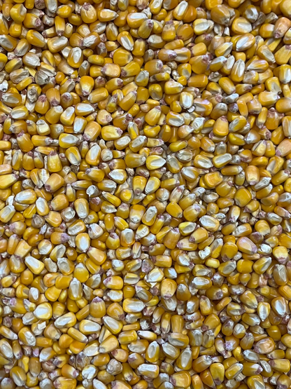 Stone-Milled Georgia Polenta - 1.5lb Bag